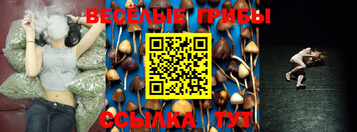 Рязань  Галлюциногенные грибы Psilocybe  Вход с VPN  как найти наркотики  Галлюциногенные грибы Cubensis 